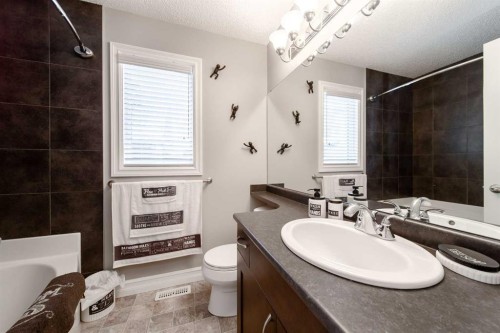 839 37 Avenue, Edmonton, AB - Indoor Photo Showing Bathroom