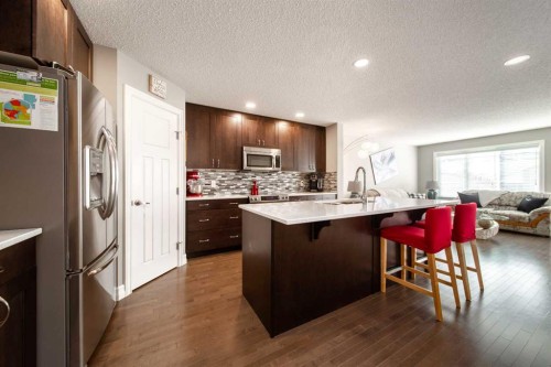 839 37 Avenue, Edmonton, AB - Indoor Photo Showing Kitchen With Upgraded Kitchen