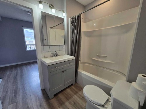 11702 21St Avenue, Blairmore, AB - Indoor Photo Showing Bathroom