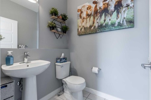 539 Moonlight Lane West, Lethbridge, AB - Indoor Photo Showing Bathroom