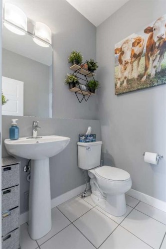 539 Moonlight Lane West, Lethbridge, AB - Indoor Photo Showing Bathroom