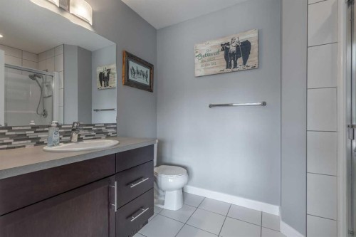 539 Moonlight Lane West, Lethbridge, AB - Indoor Photo Showing Bathroom