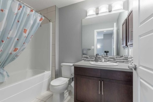 539 Moonlight Lane West, Lethbridge, AB - Indoor Photo Showing Bathroom