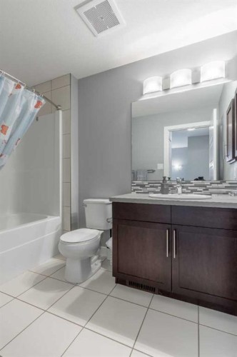 539 Moonlight Lane West, Lethbridge, AB - Indoor Photo Showing Bathroom