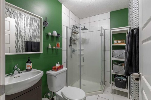 539 Moonlight Lane West, Lethbridge, AB - Indoor Photo Showing Bathroom