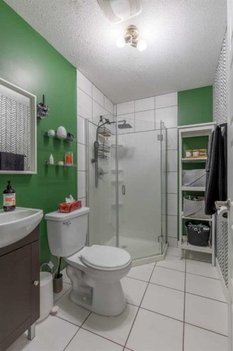 539 Moonlight Lane West, Lethbridge, AB - Indoor Photo Showing Bathroom