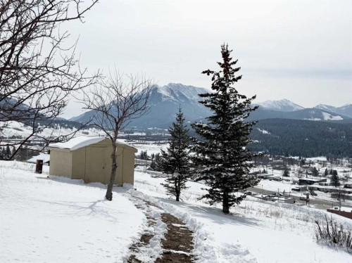 8142 26 Avenue, Coleman, AB - Outdoor With View