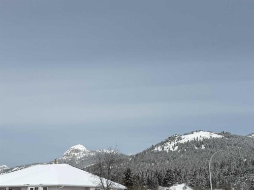 8142 26 Avenue, Coleman, AB - Outdoor With View