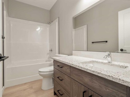 43 Prairie Lake Drive, Taber, AB - Indoor Photo Showing Bathroom