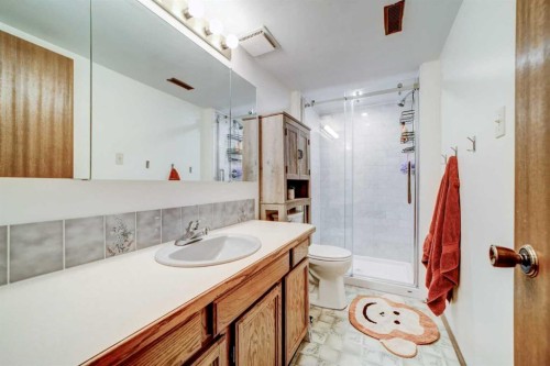 131 Beaverbrook Road North, Lethbridge, AB - Indoor Photo Showing Bathroom