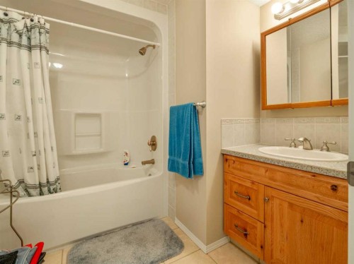 108 Riverdale Terrace West, Lethbridge, AB - Indoor Photo Showing Bathroom