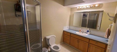 337 Ojibwa Place West, Lethbridge, AB - Indoor Photo Showing Bathroom