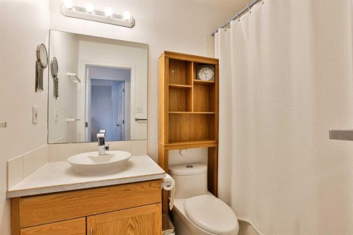289 Cougar Way North, Lethbridge, AB - Indoor Photo Showing Bathroom