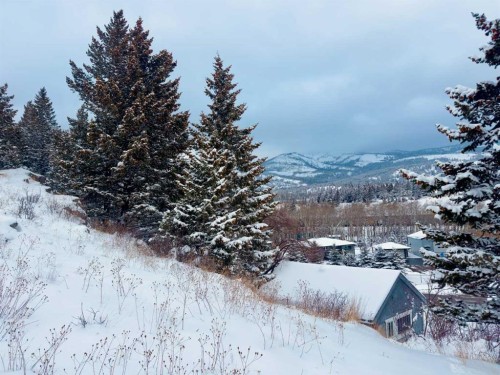 20970 7 Avenue, Bellevue, AB - Outdoor With View