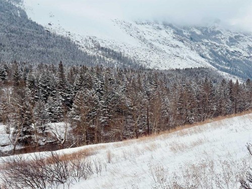 20970 7 Avenue, Bellevue, AB - Outdoor With View