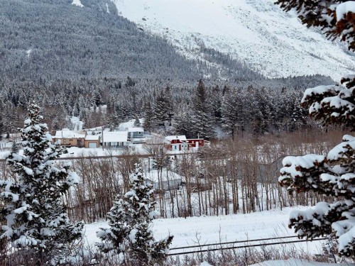 20970 7 Avenue, Bellevue, AB - Outdoor