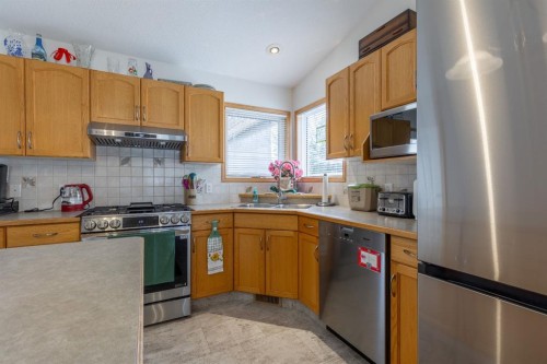 389 Kodiak Boulevard North, Lethbridge, AB - Indoor Photo Showing Kitchen With Double Sink