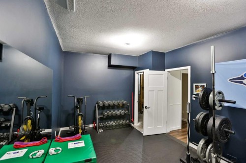 261 Agnes Short Place North, Lethbridge, AB - Indoor