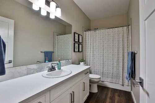 261 Agnes Short Place North, Lethbridge, AB - Indoor Photo Showing Bathroom