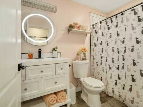 3-322 Northlander Bend West, Lethbridge, AB - Indoor Photo Showing Bathroom