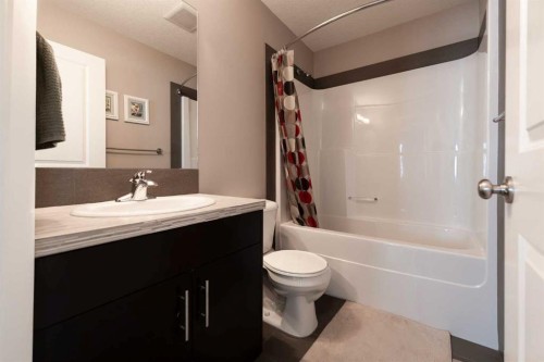 26 Riverglen Link West, Lethbridge, AB - Indoor Photo Showing Bathroom