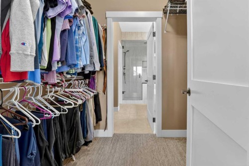 64 Riverhurst Cove West, Lethbridge, AB - Indoor With Storage