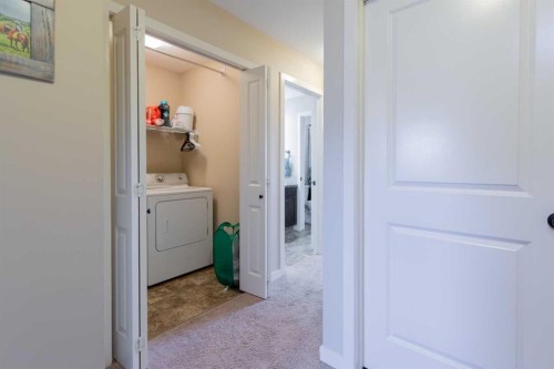3-213 Lettice Perry Road North, Lethbridge, AB - Indoor Photo Showing Laundry Room