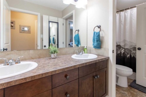 3-213 Lettice Perry Road North, Lethbridge, AB - Indoor Photo Showing Bathroom