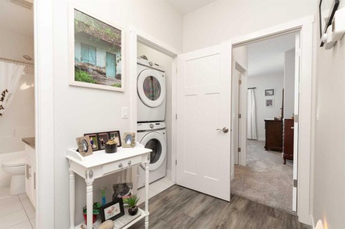 22 Rivergrove Run West, Lethbridge, AB - Indoor Photo Showing Laundry Room