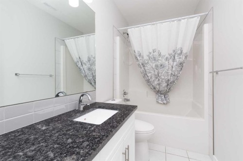 22 Rivergrove Run West, Lethbridge, AB - Indoor Photo Showing Bathroom