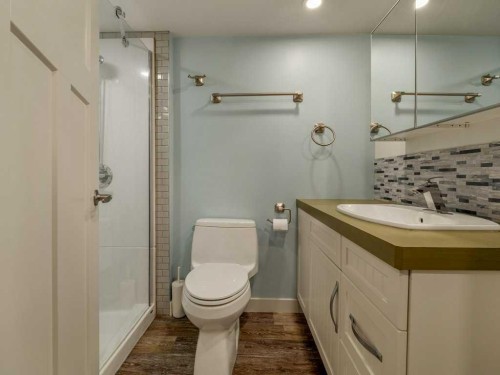 406 Twinriver Road West, Lethbridge, AB - Indoor Photo Showing Bathroom