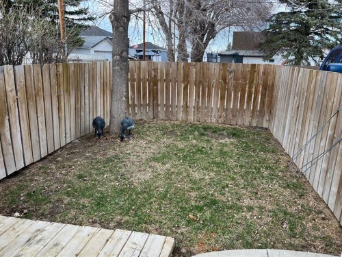2134 21 Avenue, Coaldale, AB - Outdoor