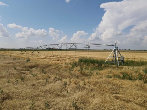 131010 Range Road 163, Vauxhall, AB - Outdoor With View