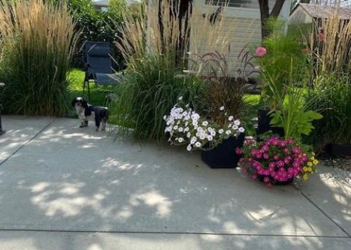 493 Squamish Lane West, Lethbridge, AB - Outdoor