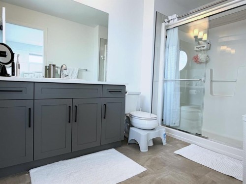 47 Blackwolf Pass North, Lethbridge, AB - Indoor Photo Showing Bathroom