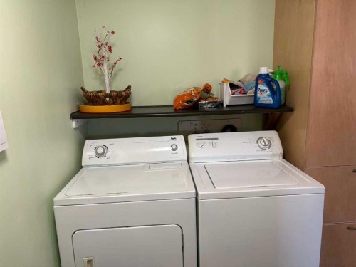 405 1 Avenue, Coutts, AB - Indoor Photo Showing Laundry Room
