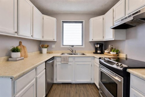 113 Cayuga Crescent West, Lethbridge, AB - Indoor Photo Showing Kitchen With Double Sink