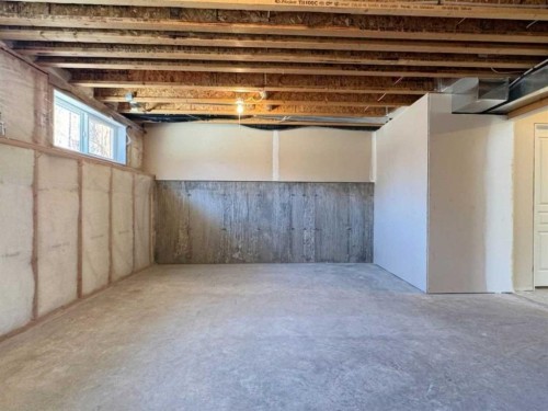 344 Lynx Crescent North, Lethbridge, AB - Indoor Photo Showing Basement