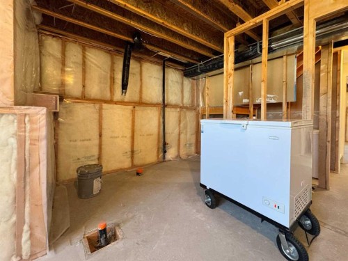 344 Lynx Crescent North, Lethbridge, AB - Indoor Photo Showing Basement
