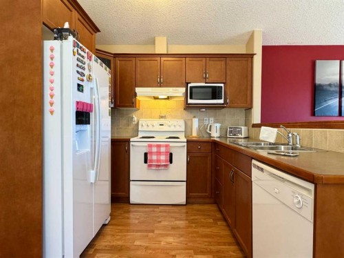 344 Lynx Crescent North, Lethbridge, AB - Indoor Photo Showing Kitchen With Double Sink