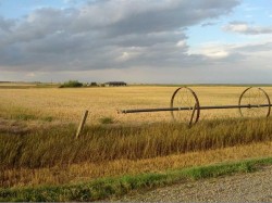 124025 Range Road 214 Picture Butte, AB T0K 1V0