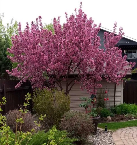 91 Fairmont Point South, Lethbridge, AB - Outdoor