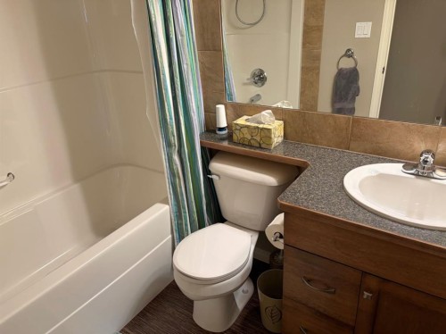 532 Sunridge Crescent West, Lethbridge, AB - Indoor Photo Showing Bathroom