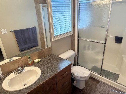 532 Sunridge Crescent West, Lethbridge, AB - Indoor Photo Showing Bathroom