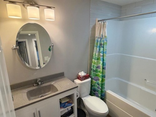 532 Sunridge Crescent West, Lethbridge, AB - Indoor Photo Showing Bathroom