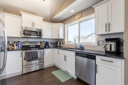 537 Blackwolf Boulevard North, Lethbridge, AB - Indoor Photo Showing Kitchen With Double Sink