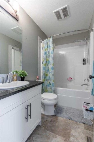 537 Blackwolf Boulevard North, Lethbridge, AB - Indoor Photo Showing Bathroom