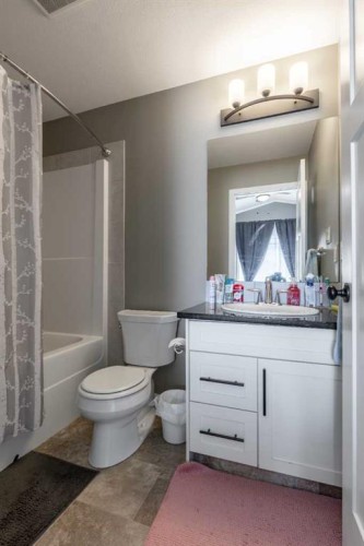 537 Blackwolf Boulevard North, Lethbridge, AB - Indoor Photo Showing Bathroom