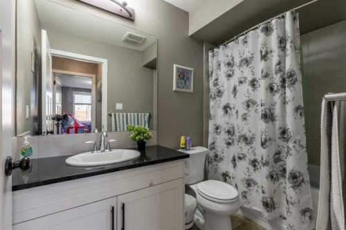 537 Blackwolf Boulevard North, Lethbridge, AB - Indoor Photo Showing Bathroom