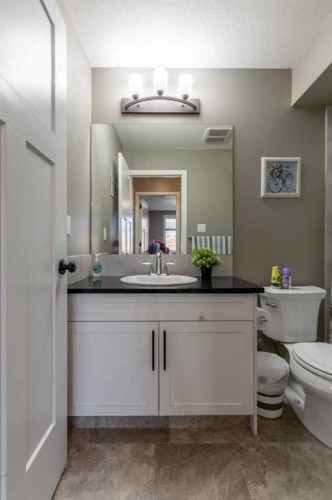537 Blackwolf Boulevard North, Lethbridge, AB - Indoor Photo Showing Bathroom